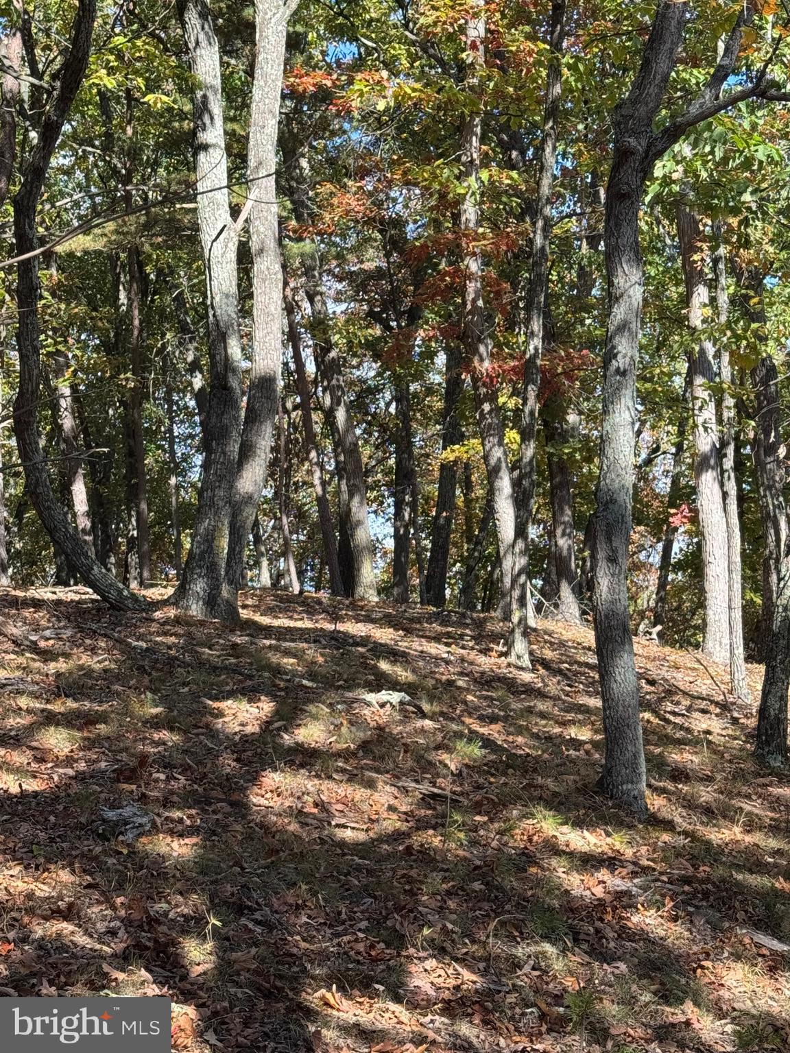 SOUTH MILL CREEK - Residential