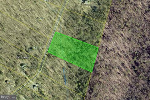 LOT 4 PATRICK LANE MOUNT JACKSON VA 22842