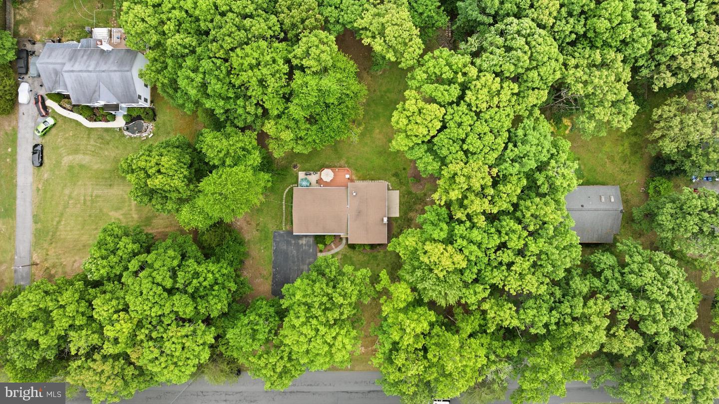 9618 RANDALL DRIVE