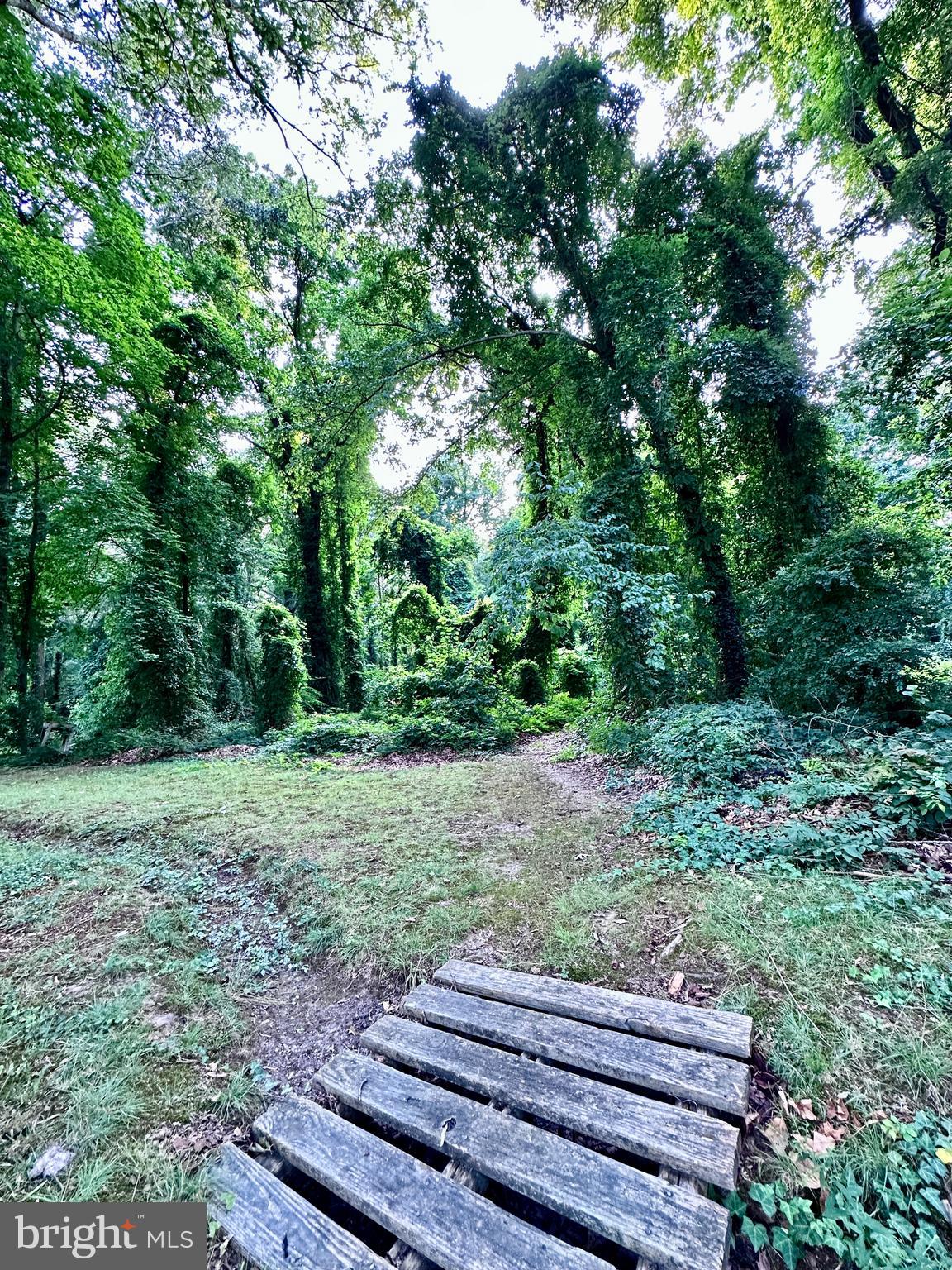 COBB ISLAND - Residential