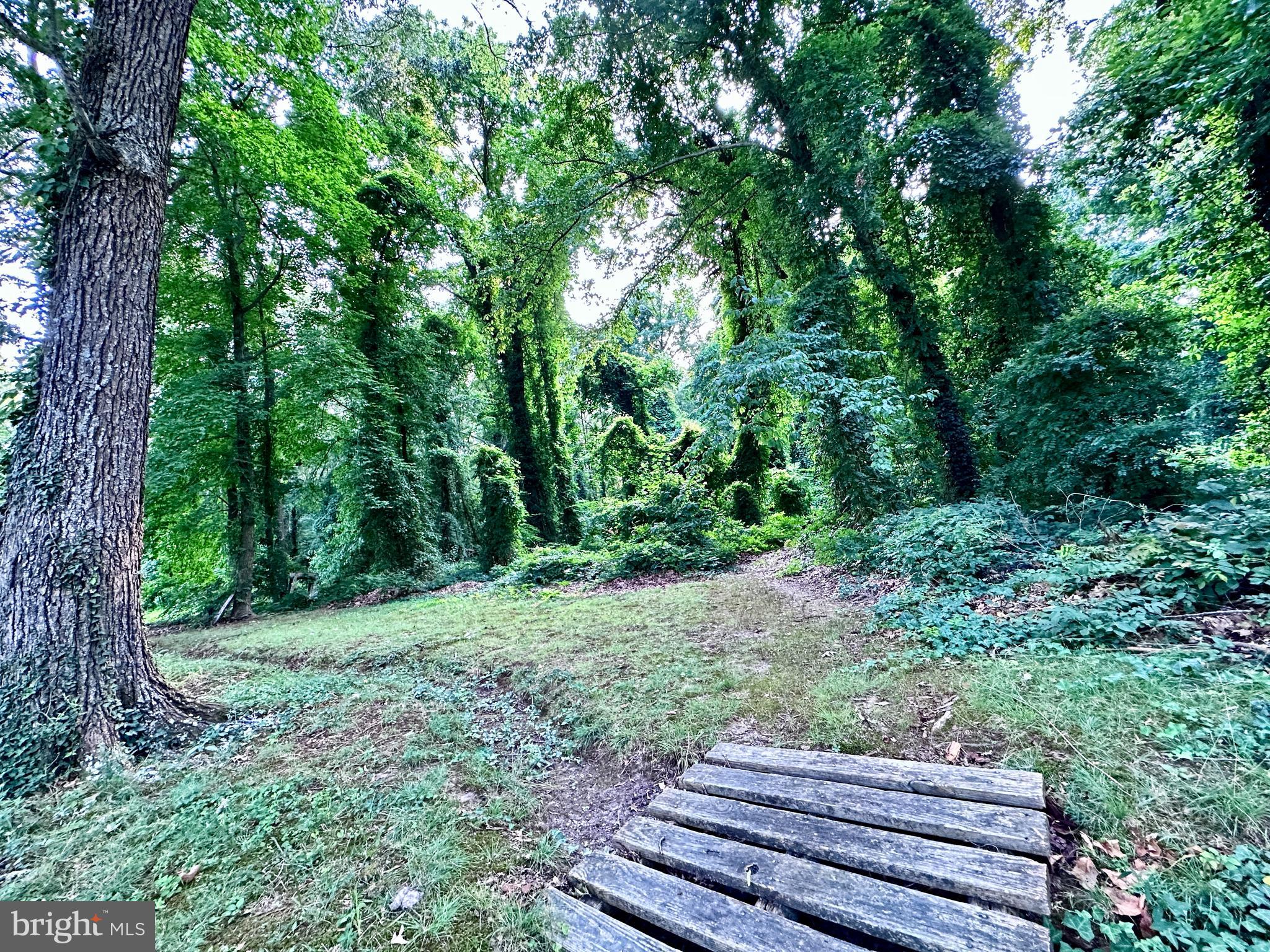 COBB ISLAND - Residential