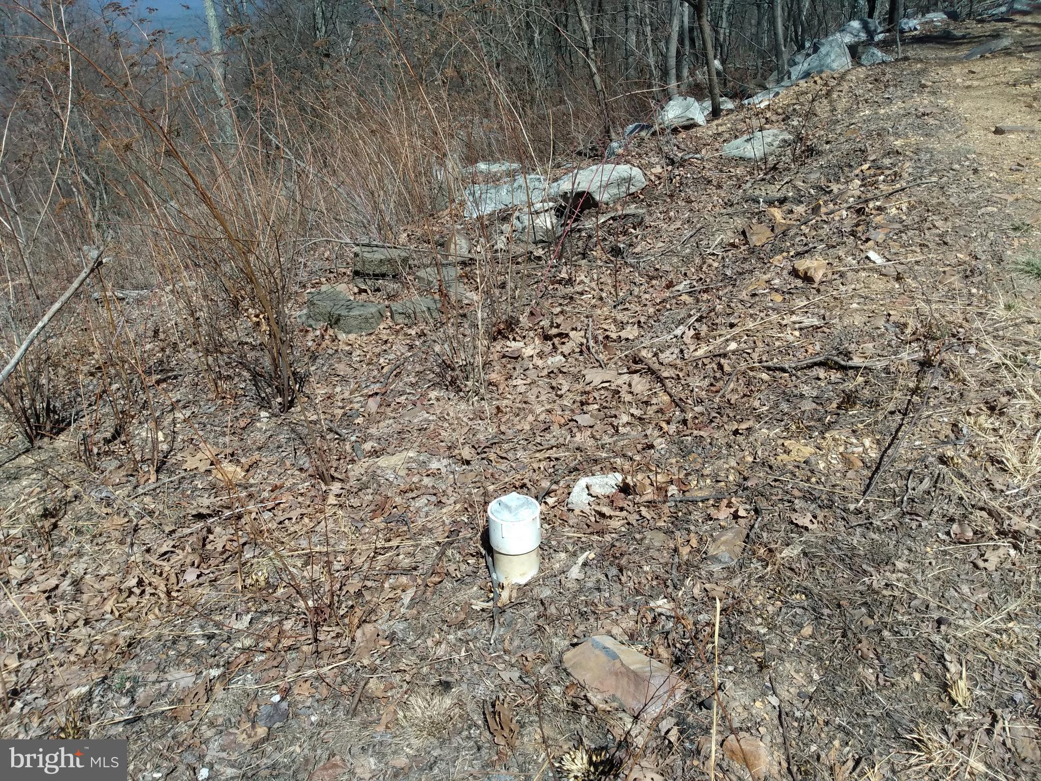 CACAPON MTN REC AREA - Land