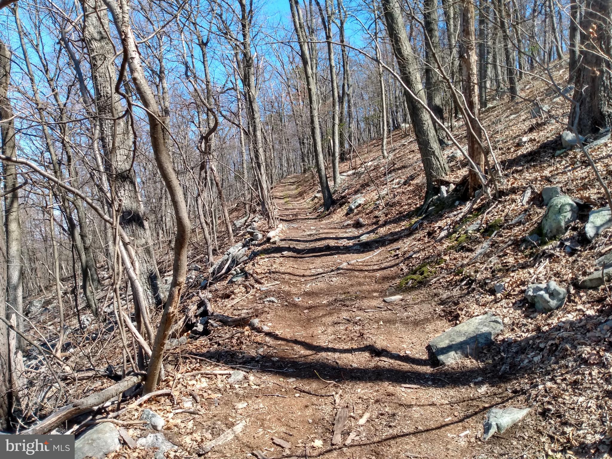 CACAPON MTN REC AREA - Land
