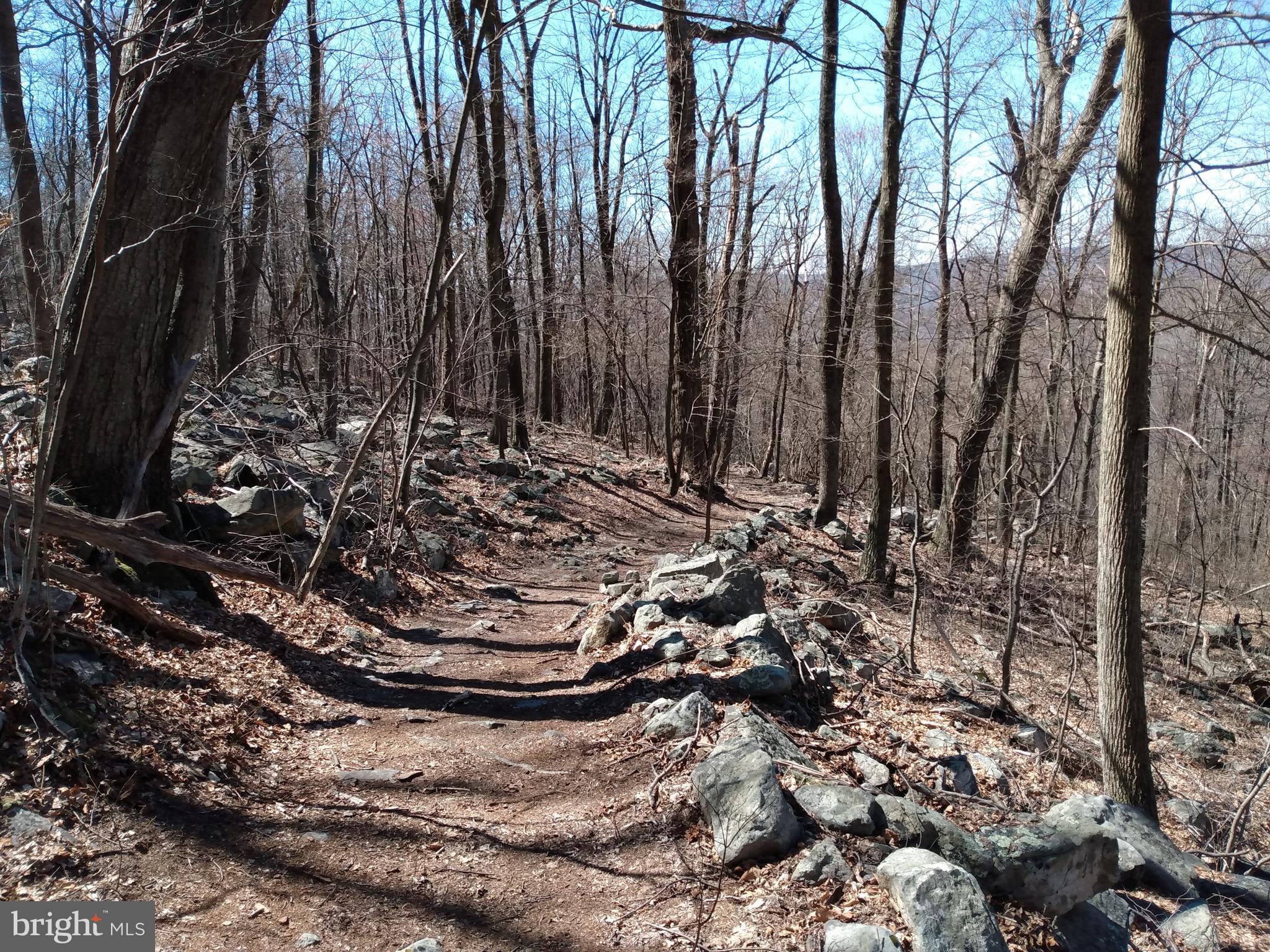 CACAPON MTN REC AREA - Land