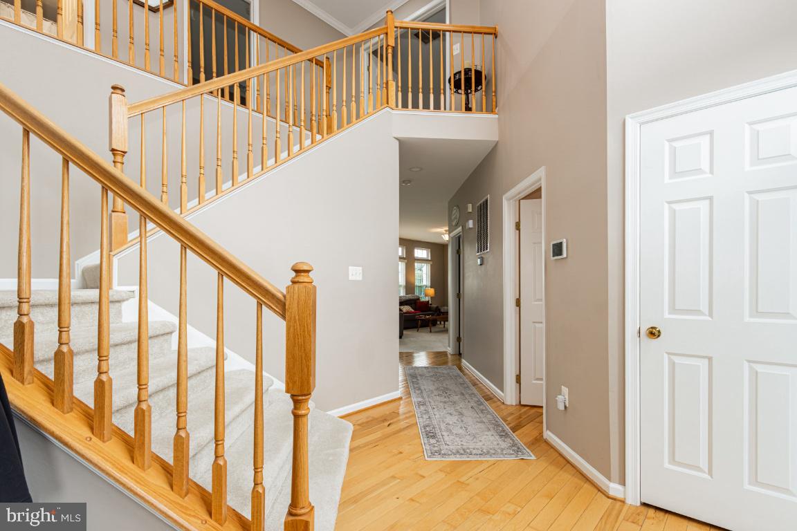 5624 IVY HILL DRIVE