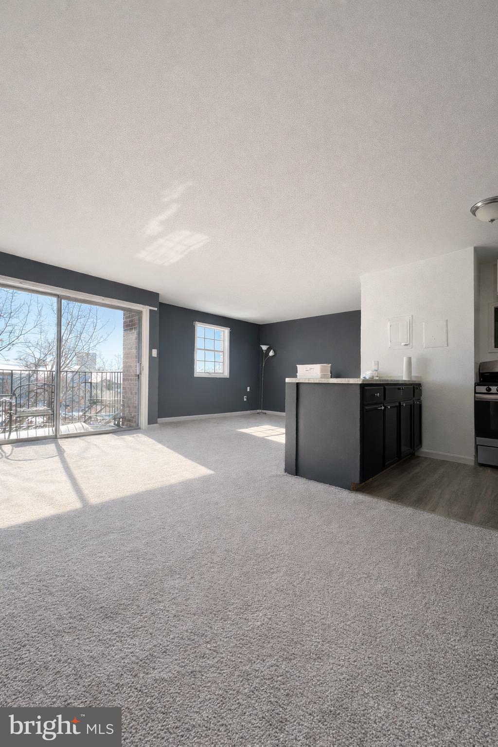 4423 ROMLON STREET 202