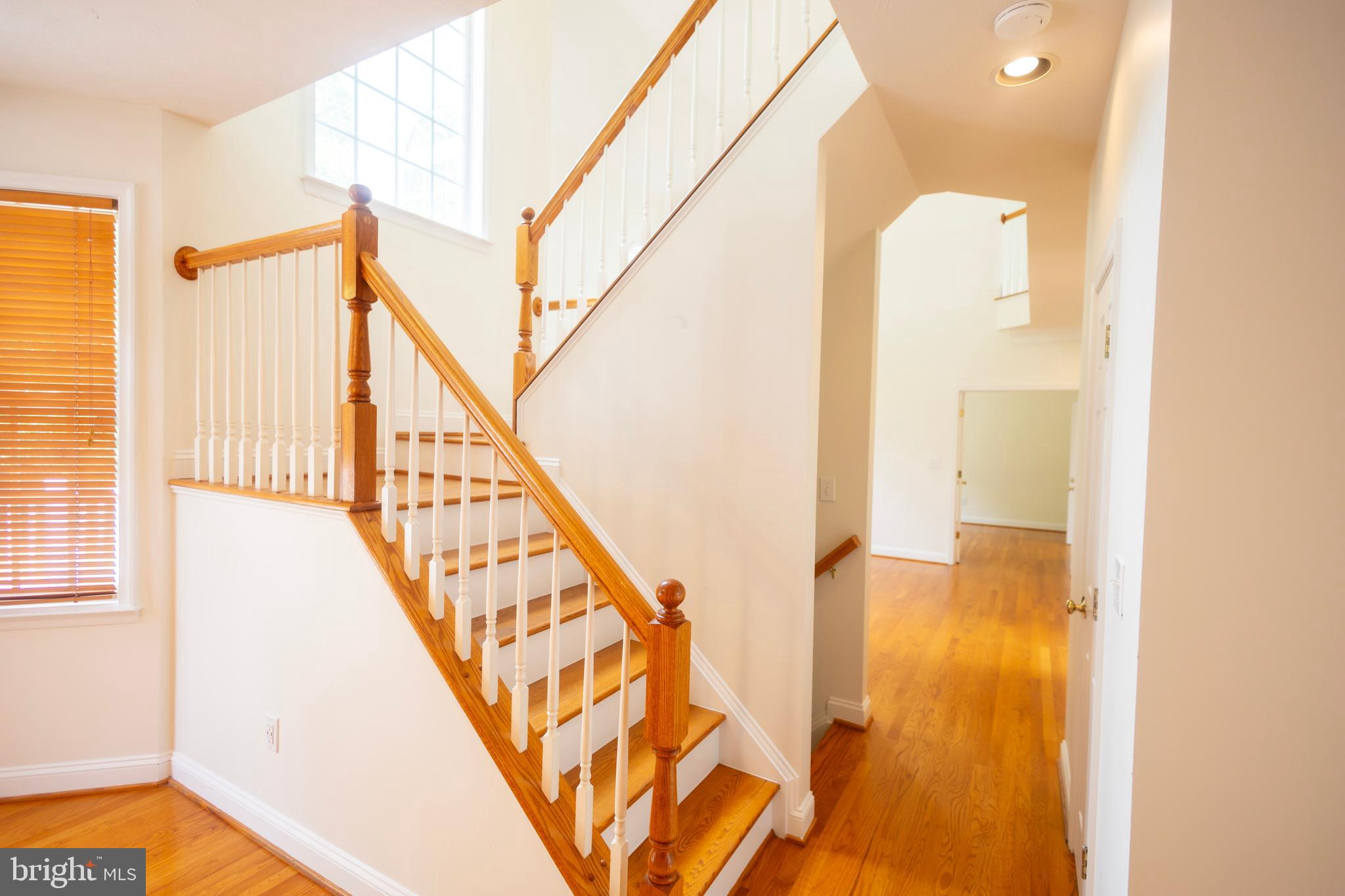 LAKE JAMESON - Residential