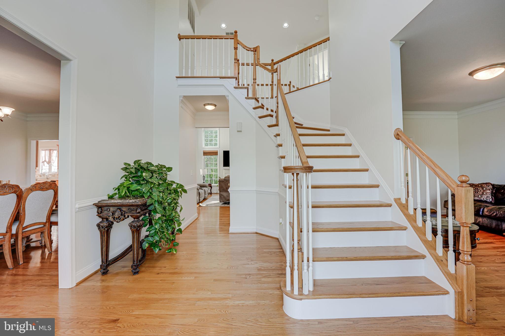 LAKE JAMESON - Residential