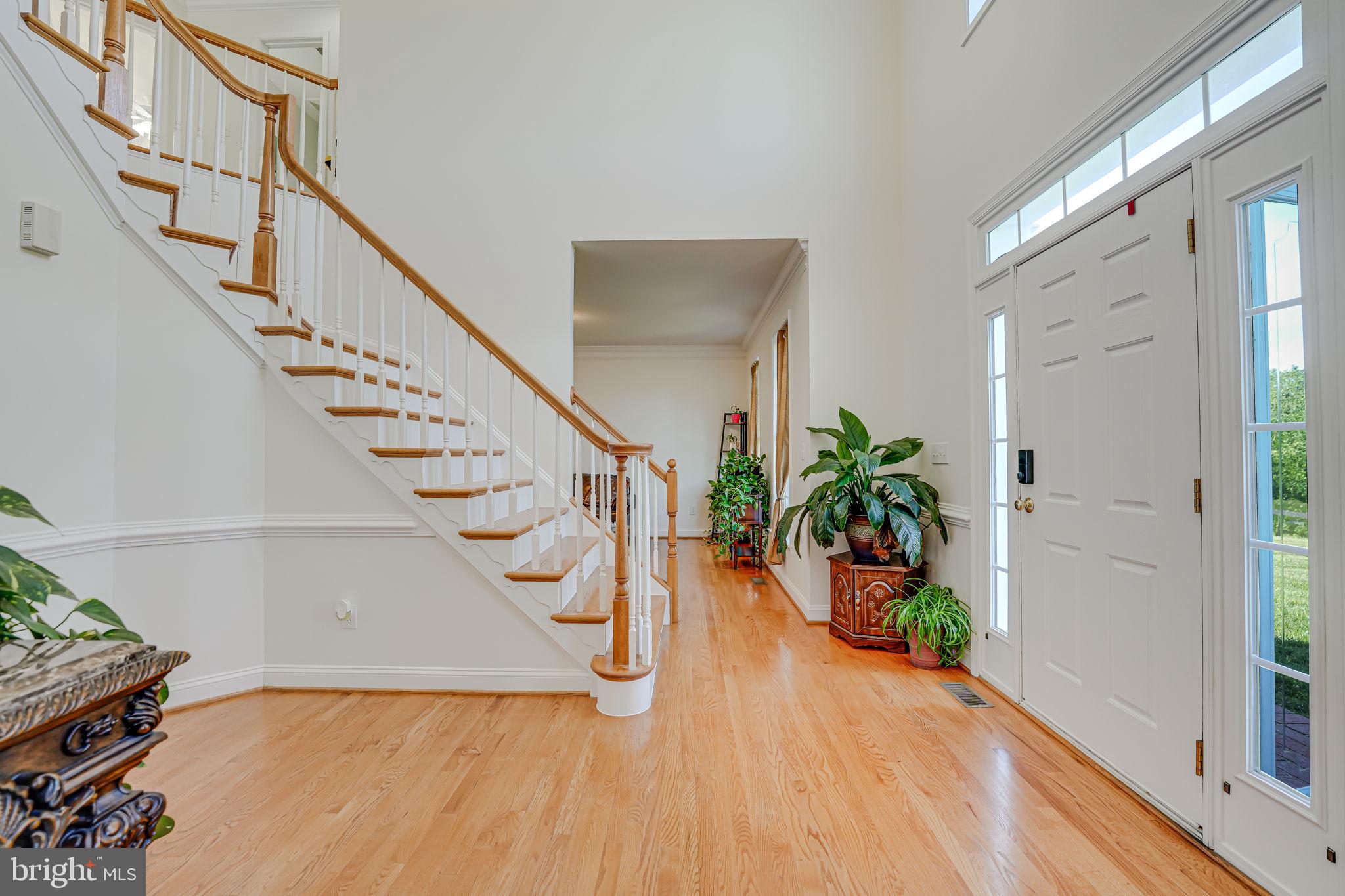 LAKE JAMESON - Residential