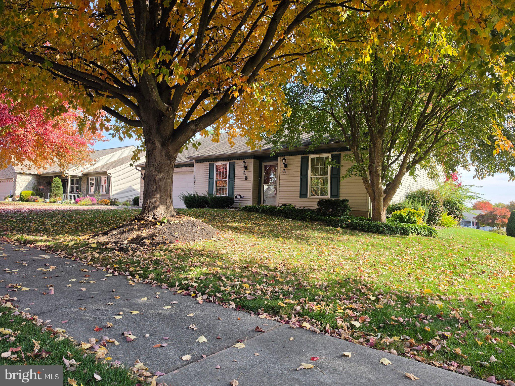 24 BOWER DRIVE