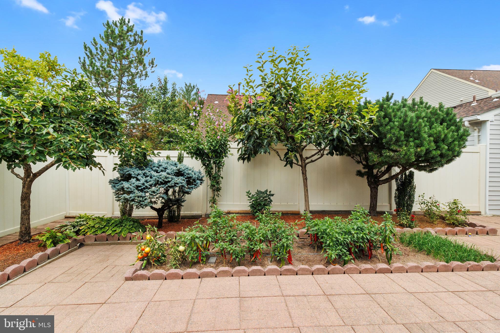 ASHBURN FARM - Residential