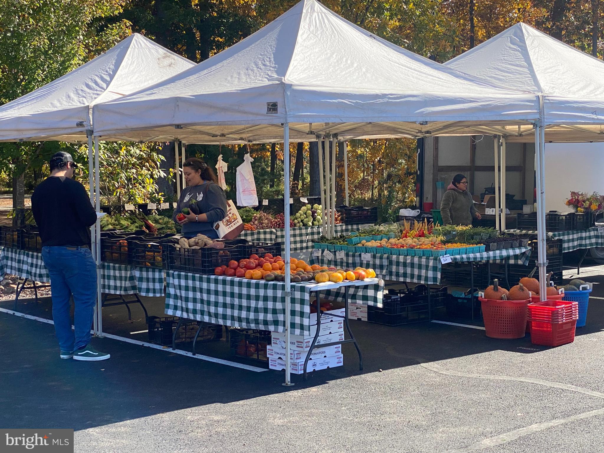 ASHBROOK PLACE - Residential