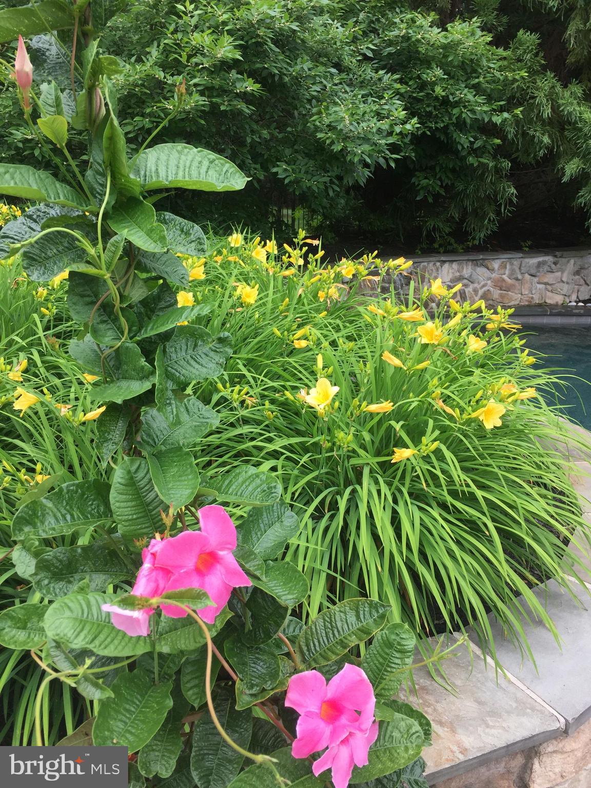 HUNT VALLEY CHASE - Residential