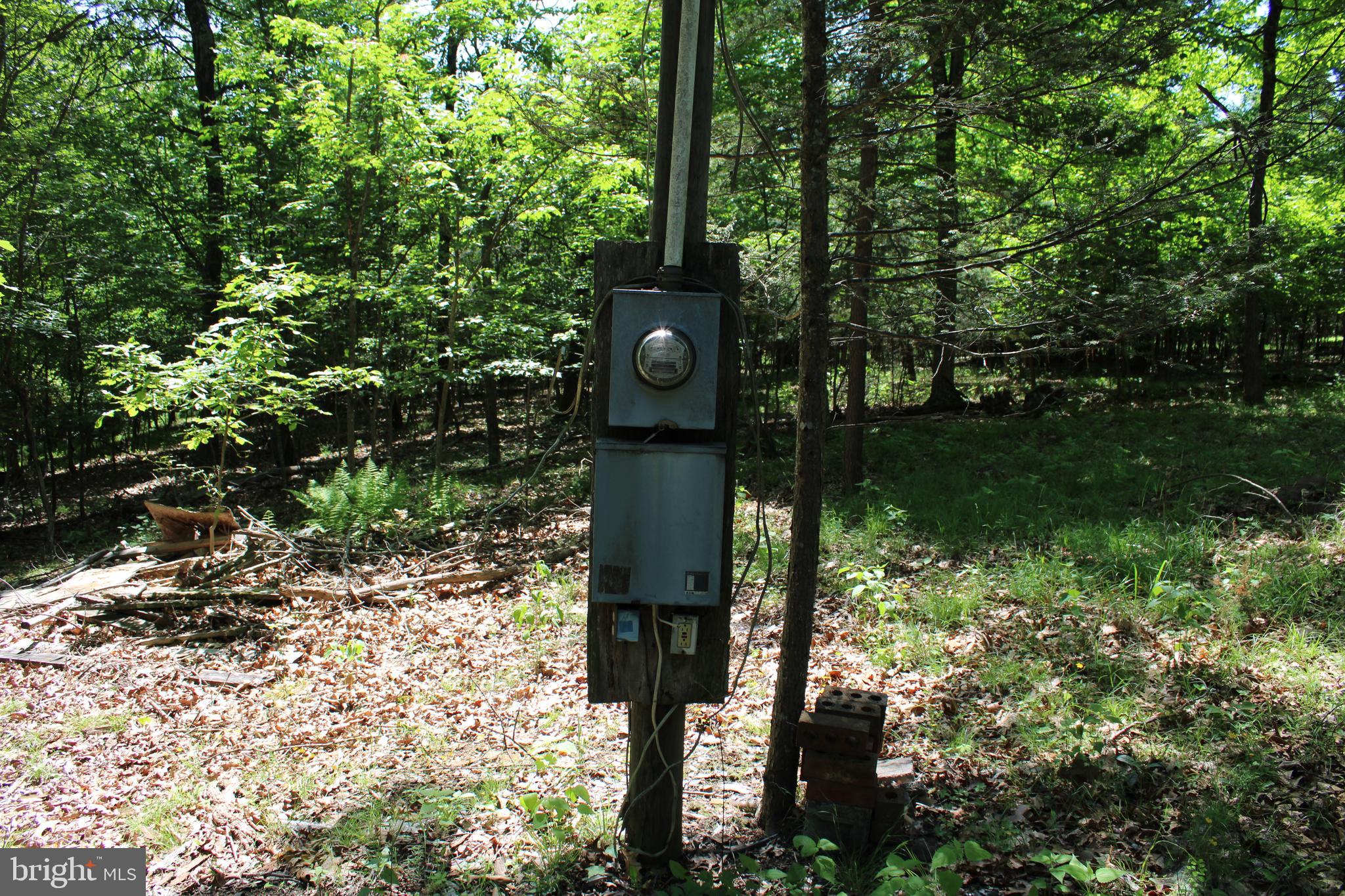 SOUTH POTOMAC FOREST - Land