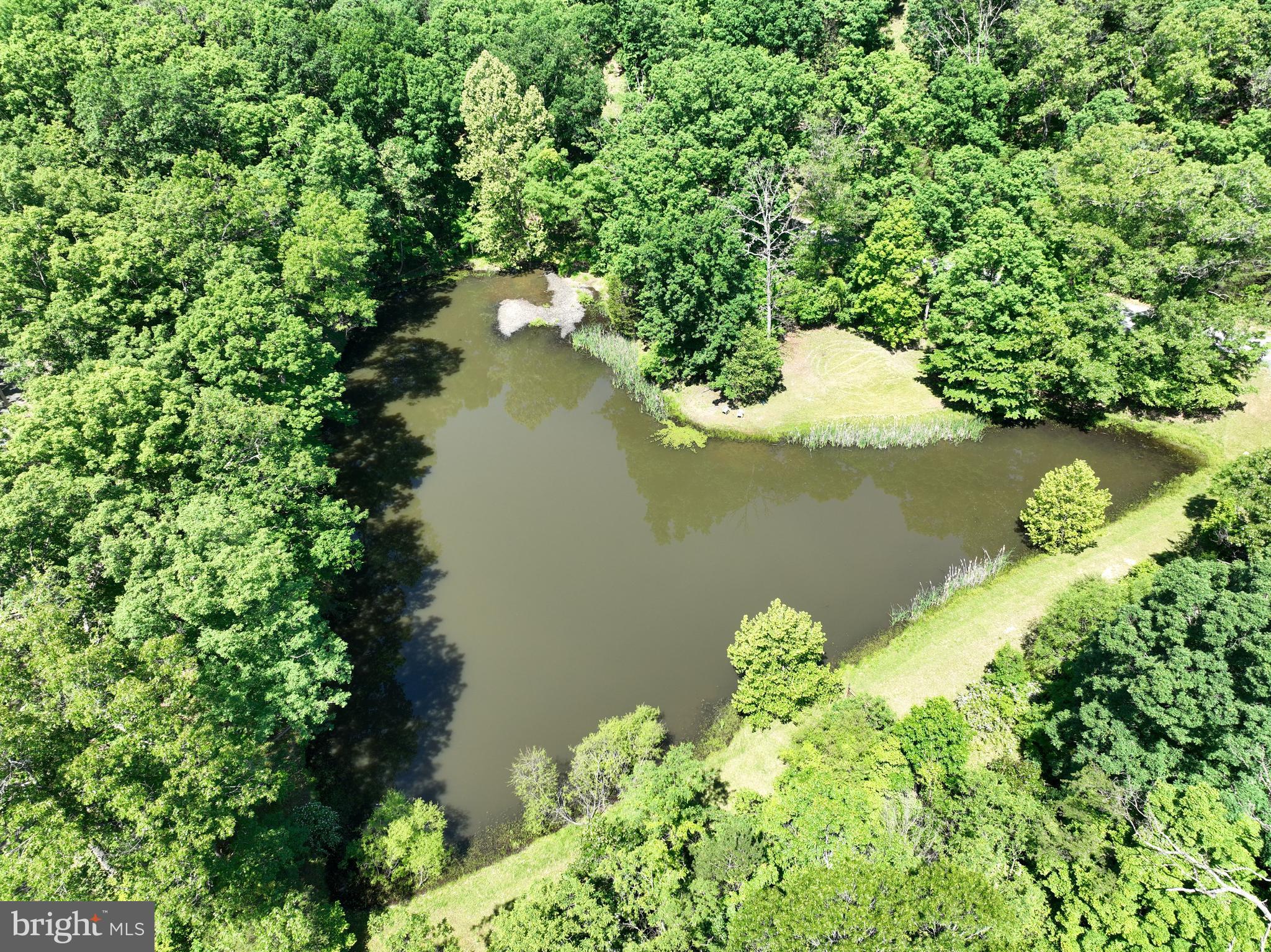SOUTH POTOMAC FOREST - Land