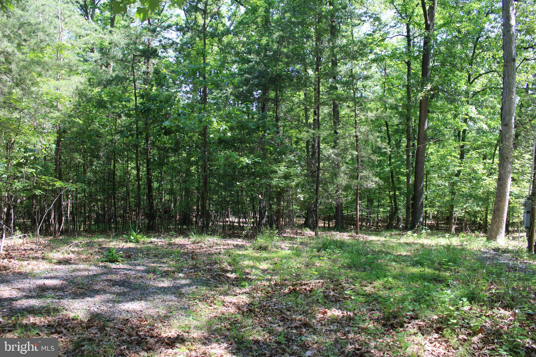 SOUTH POTOMAC FOREST - Land