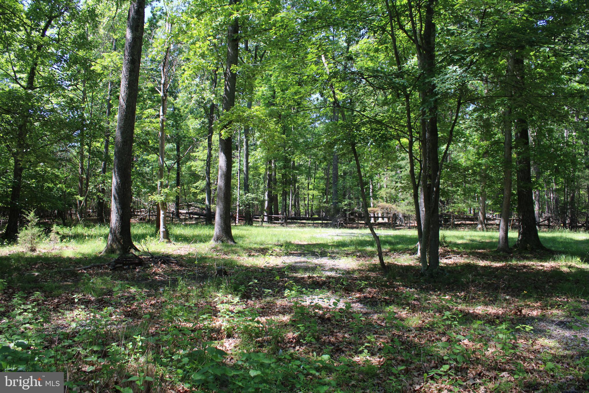 SOUTH POTOMAC FOREST - Land