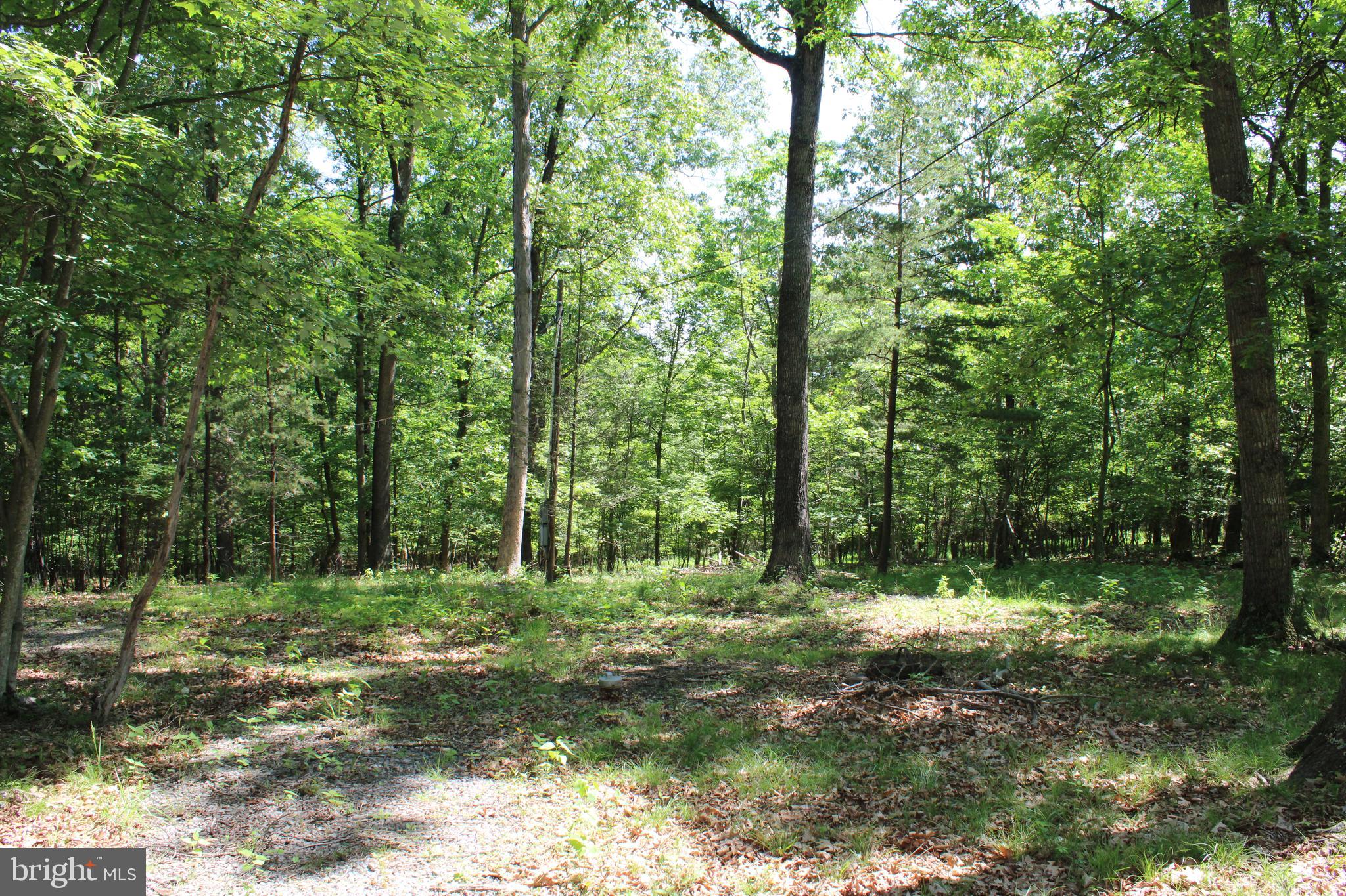 SOUTH POTOMAC FOREST - Land