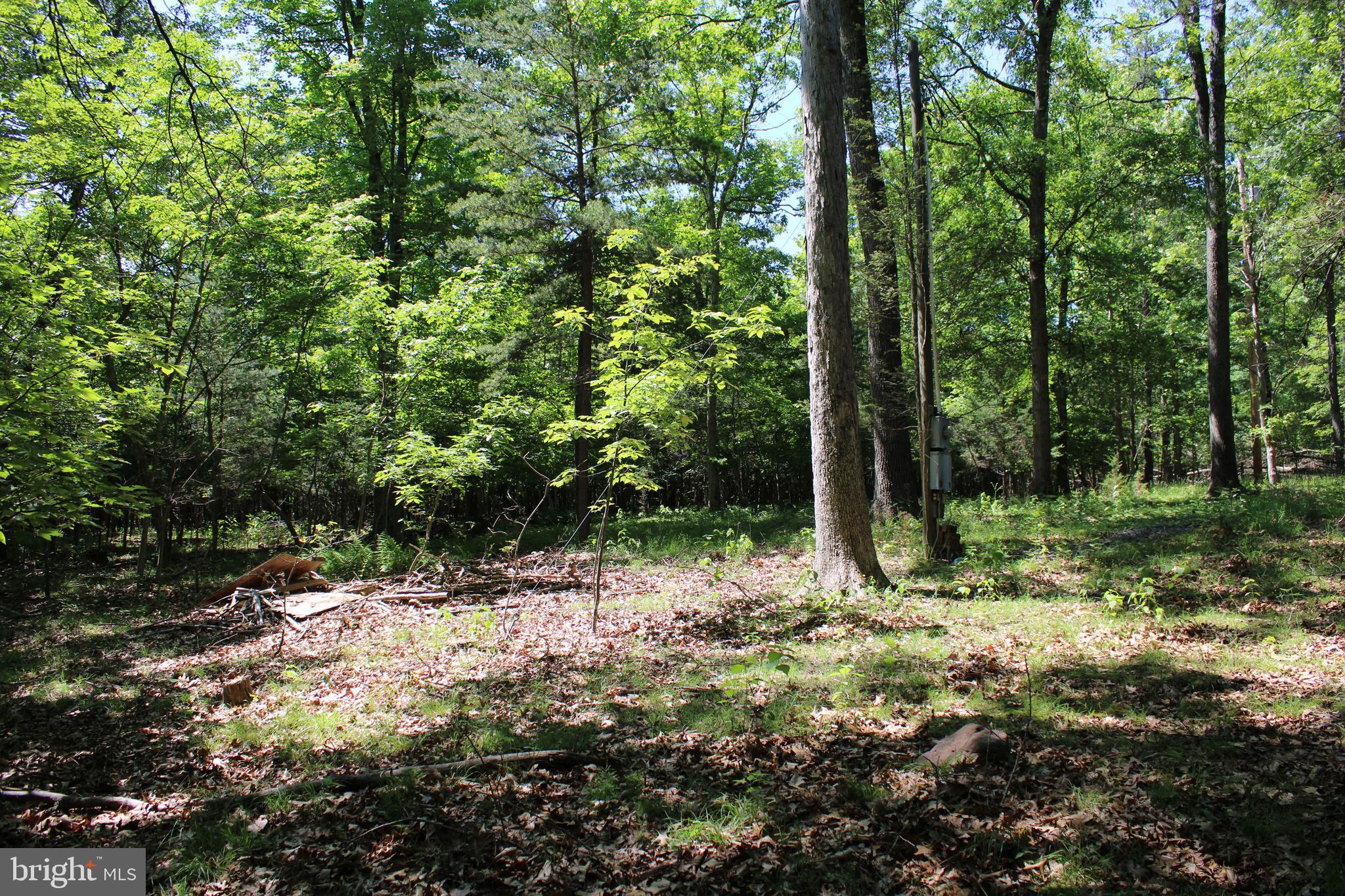 SOUTH POTOMAC FOREST - Land