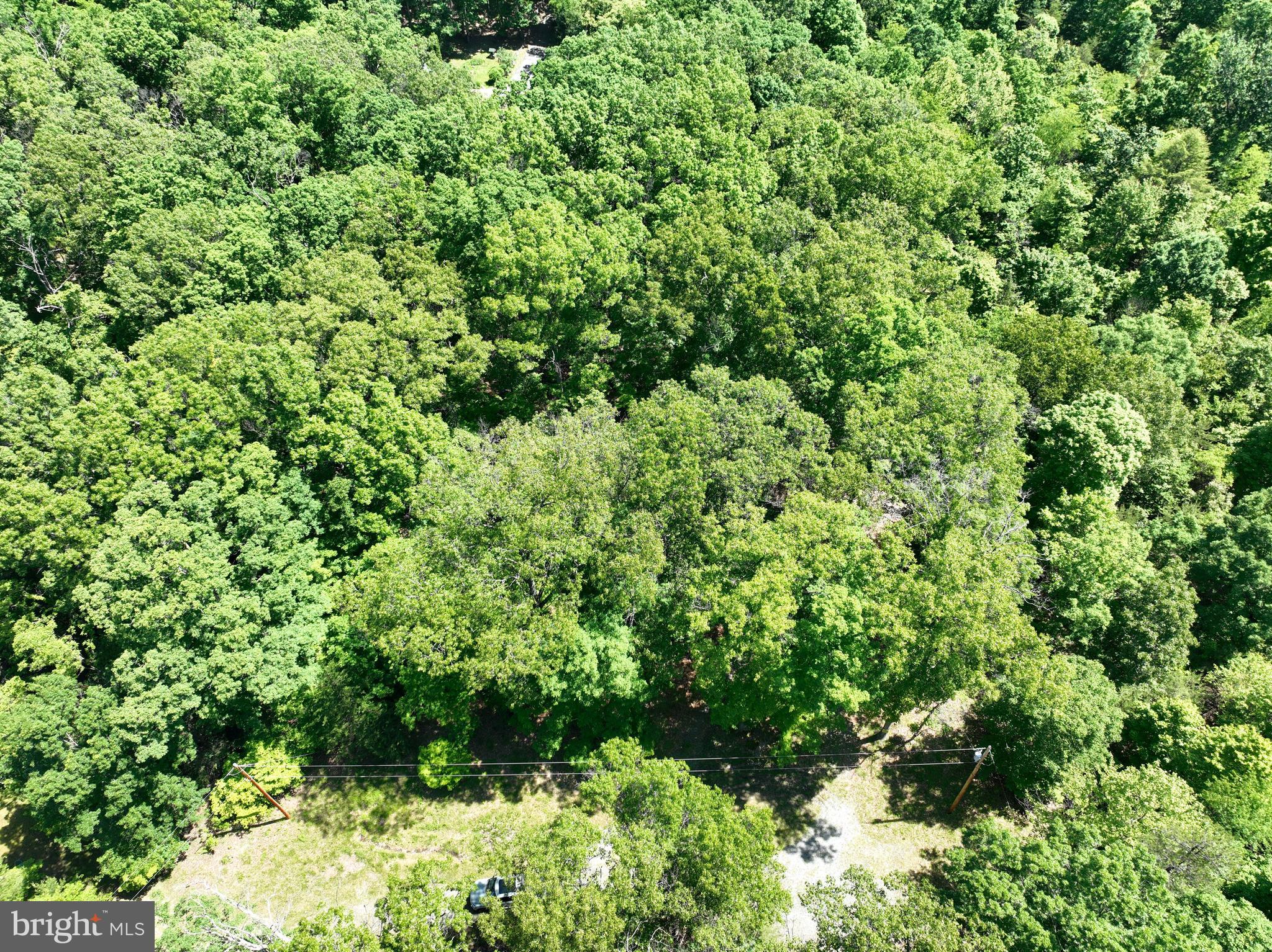 SOUTH POTOMAC FOREST - Land