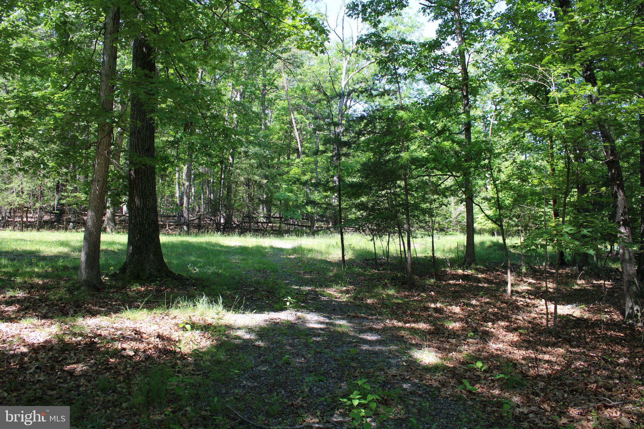 SOUTH POTOMAC FOREST - Land