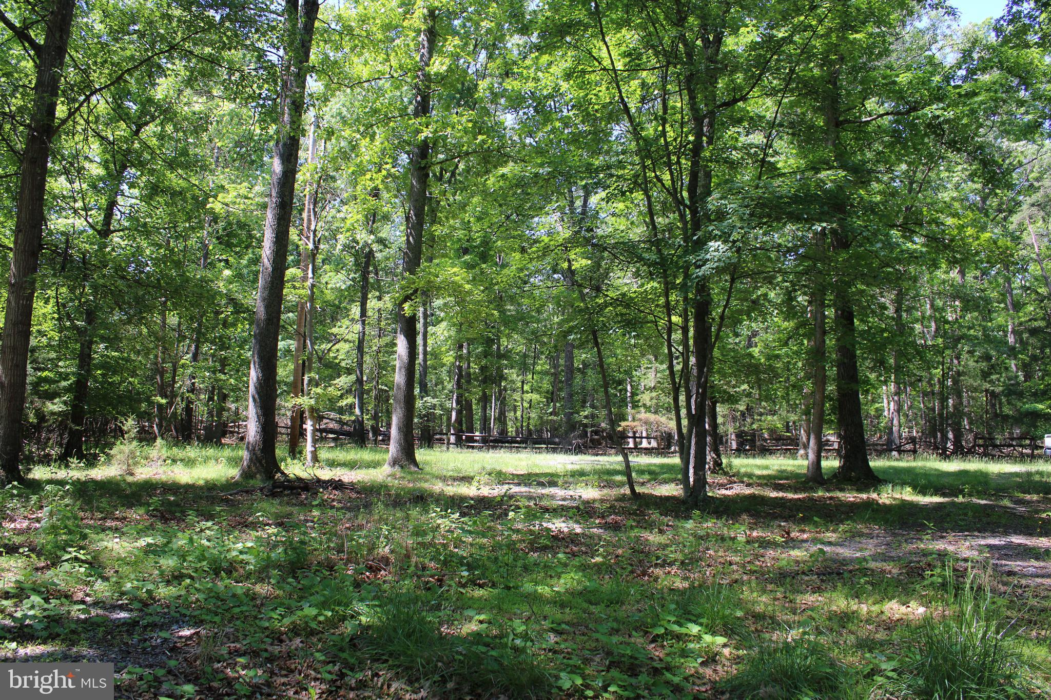 SOUTH POTOMAC FOREST - Land