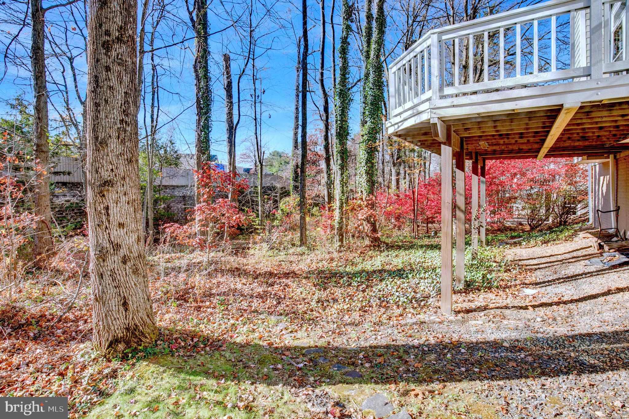 RESTON - Residential Lease