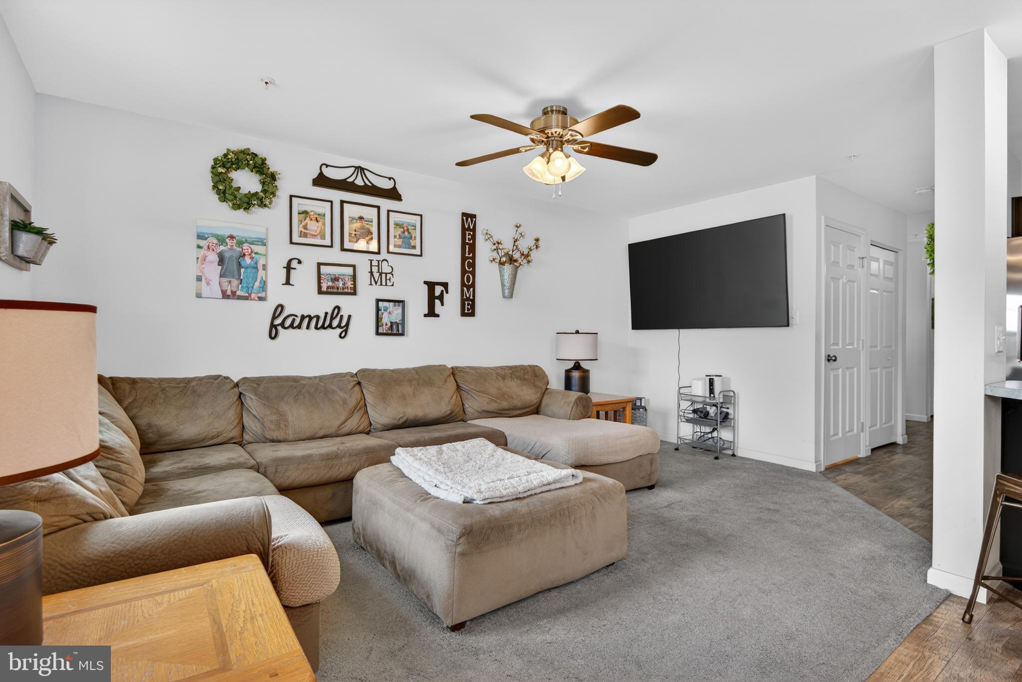 VILLAGE AT SPRINGBROOK FARMS - Residential