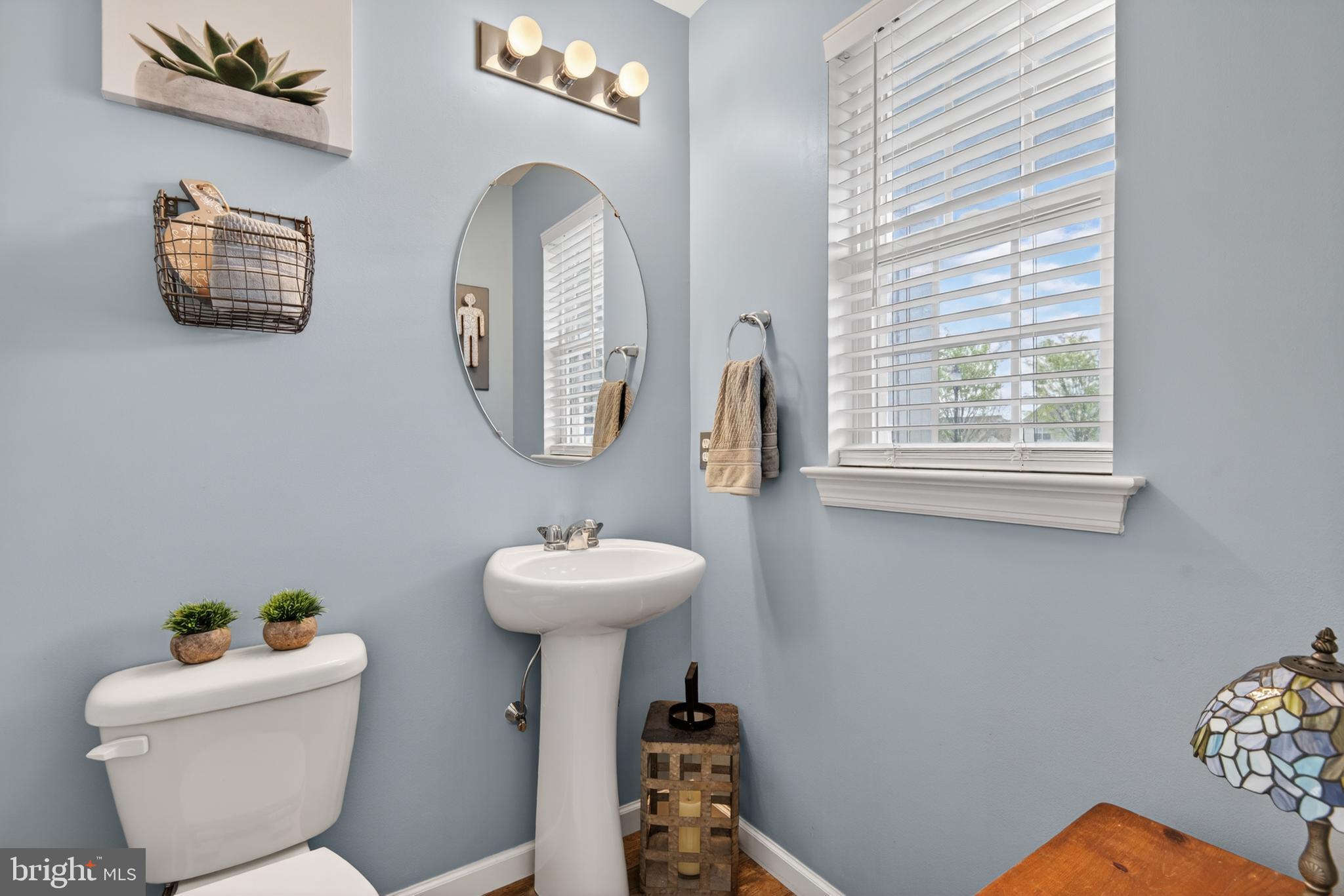 VILLAGE AT SPRINGBROOK FARMS - Residential
