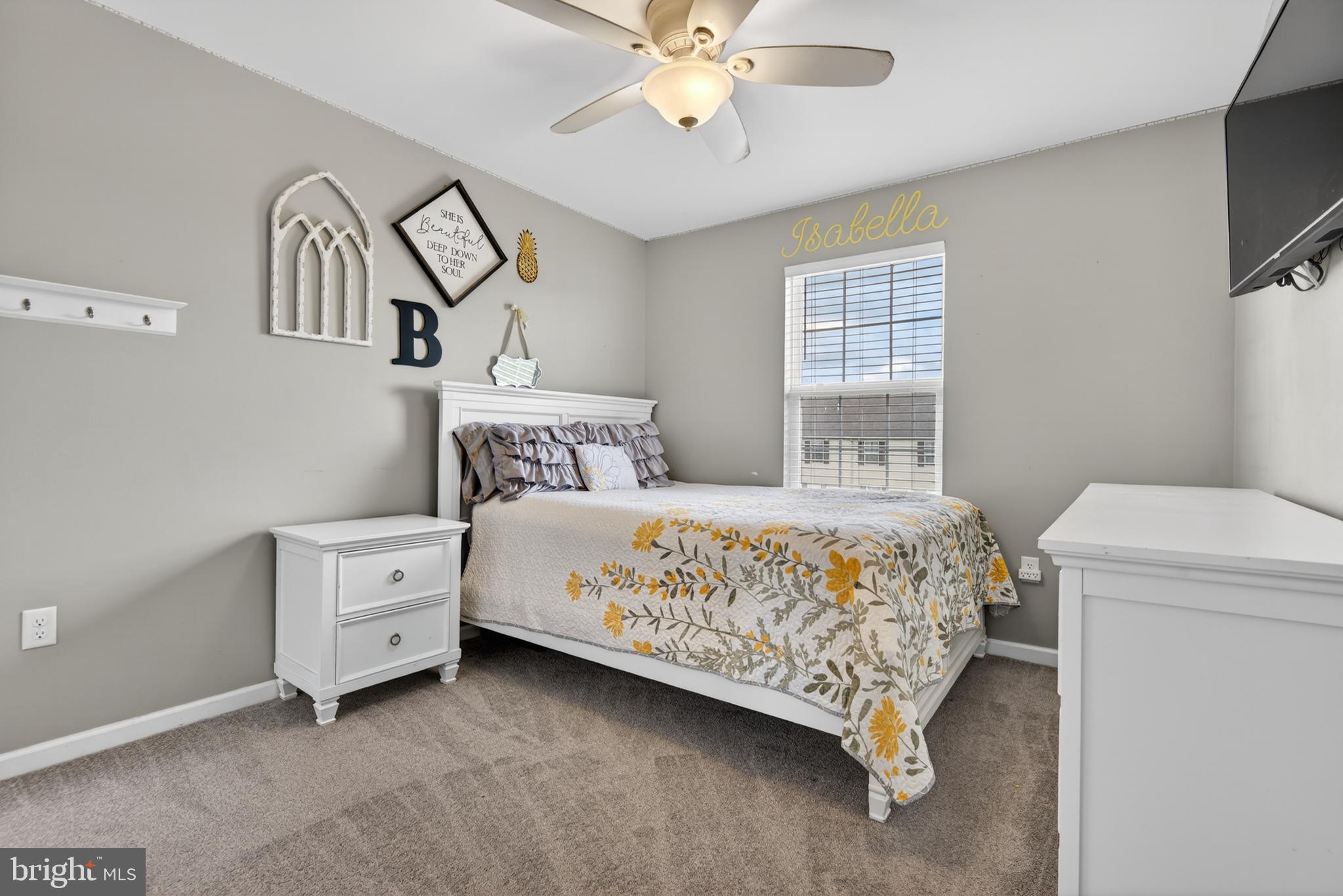 VILLAGE AT SPRINGBROOK FARMS - Residential