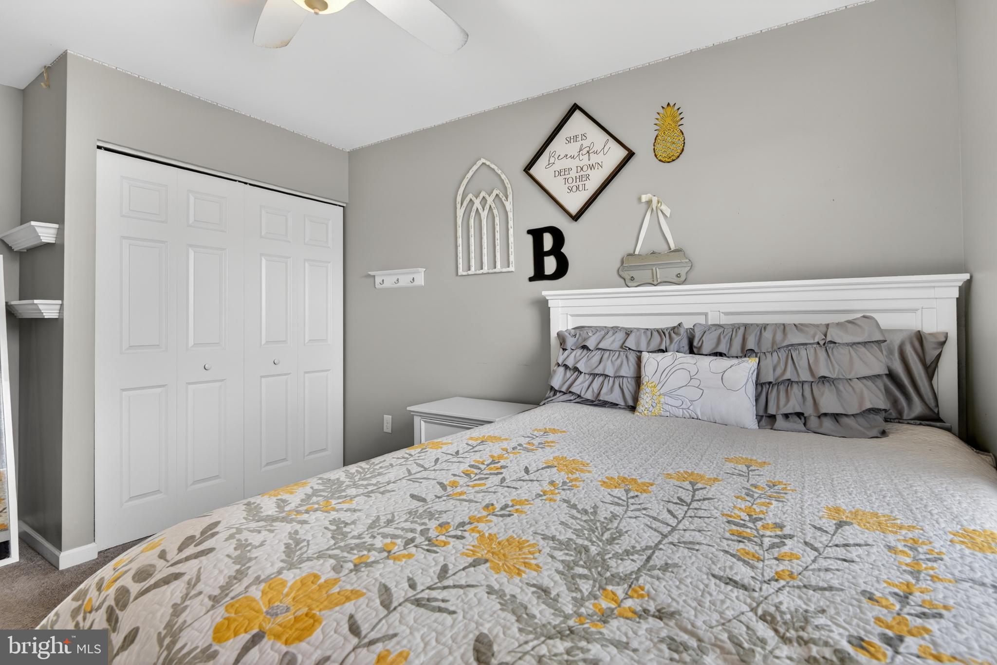 VILLAGE AT SPRINGBROOK FARMS - Residential