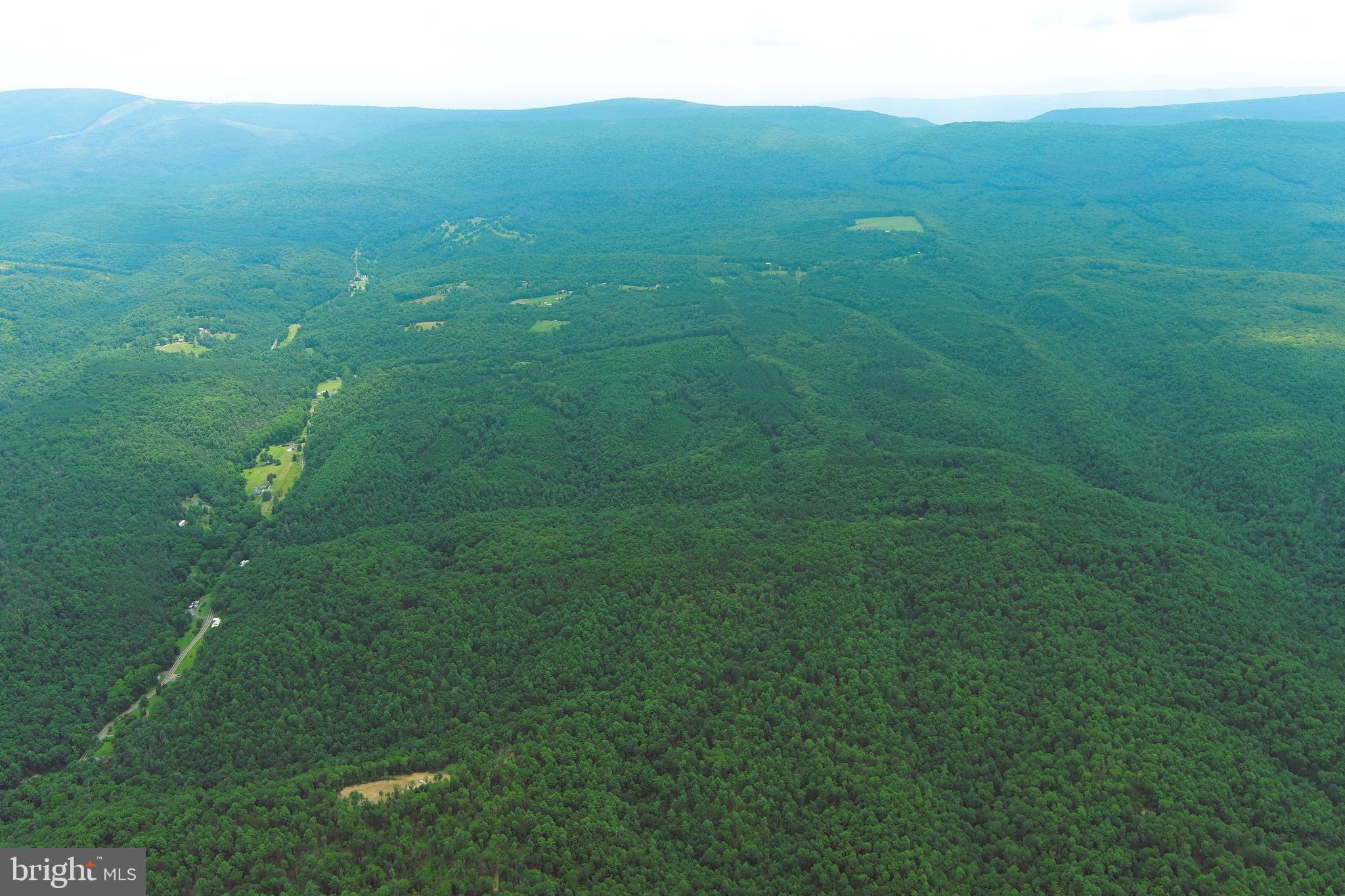 100 AC ON GEORGE WASHINGTON NATIONAL FOREST
