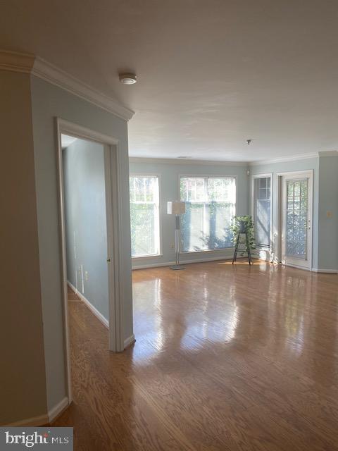 SAVOY PARK CONDOMINIUMS - Residential Lease