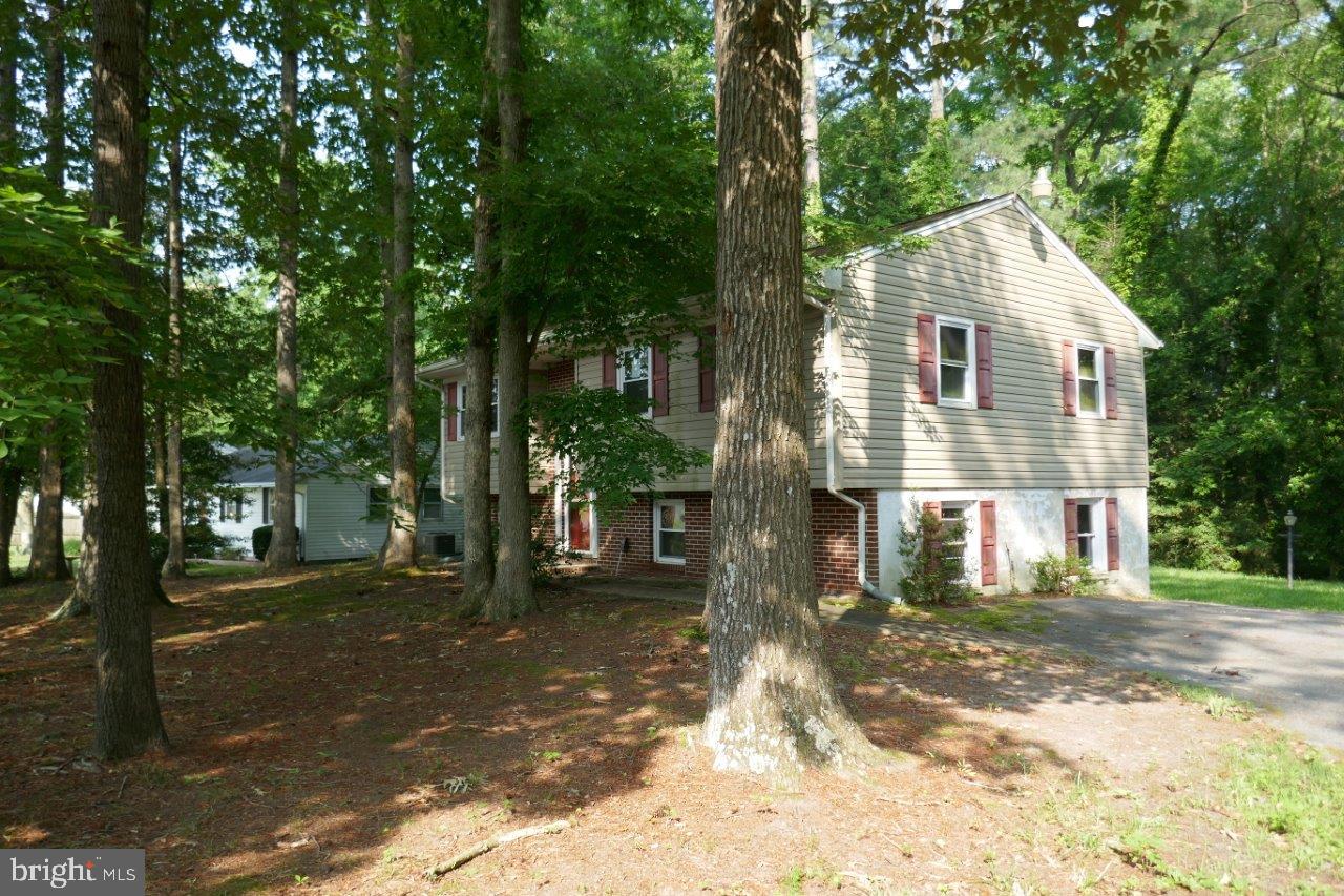 CANNON FARM - Residential