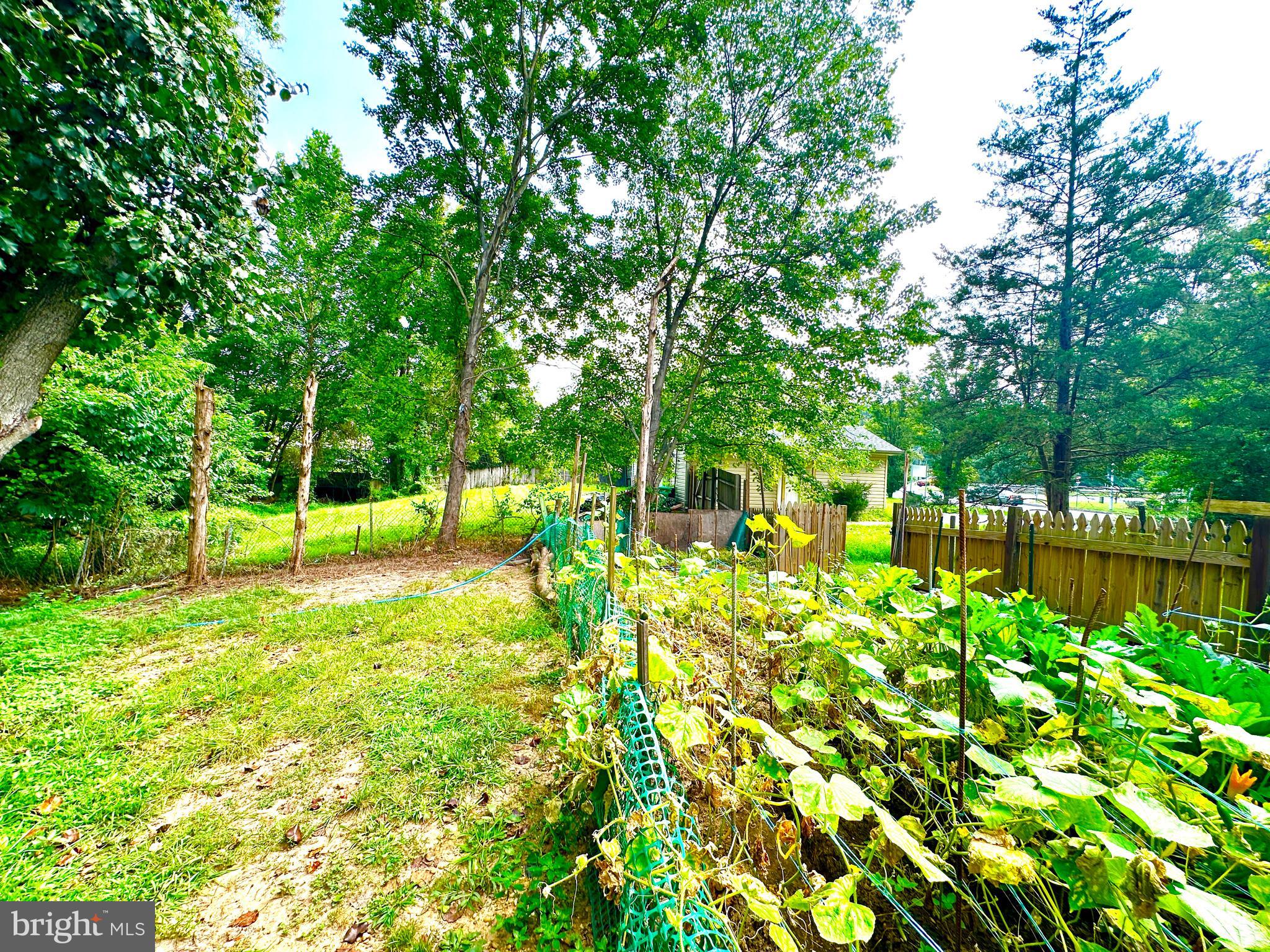 MONTPELIER - Residential