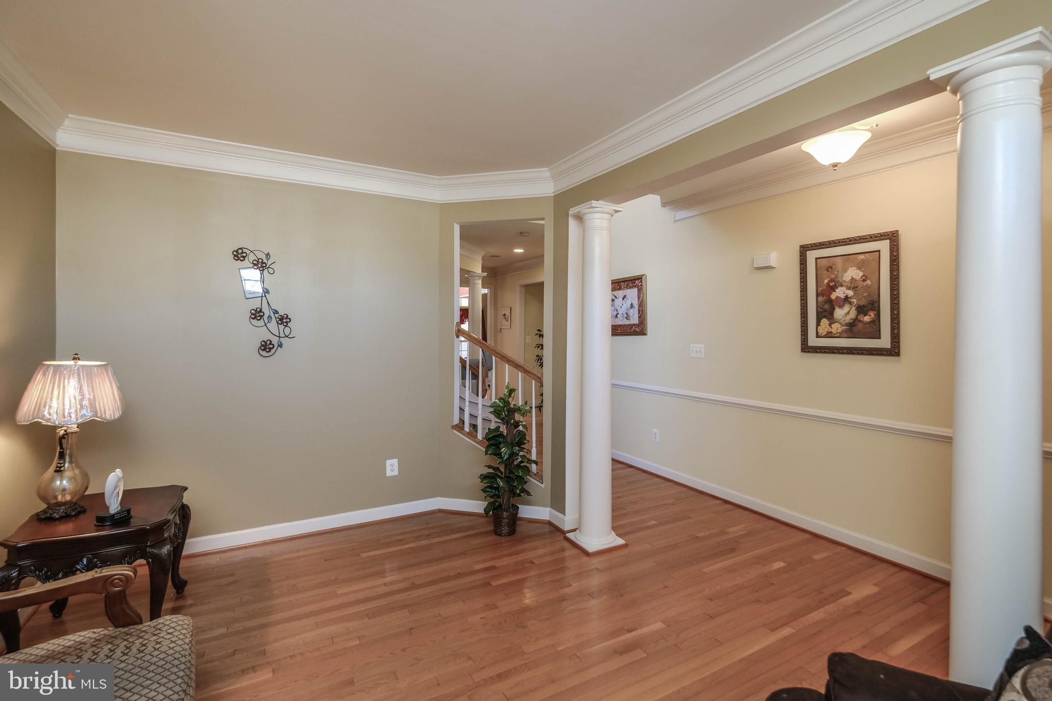 VILLAGE OF WASHINGTON TRAIL - Residential