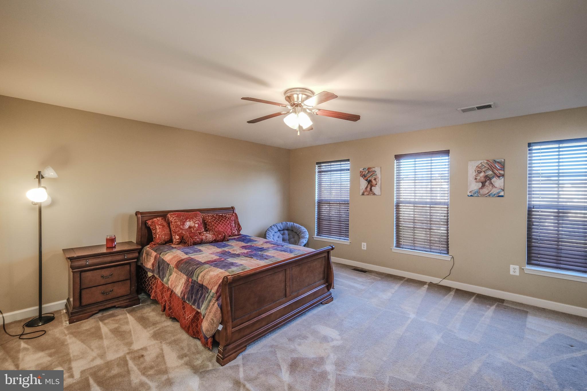 VILLAGE OF WASHINGTON TRAIL - Residential