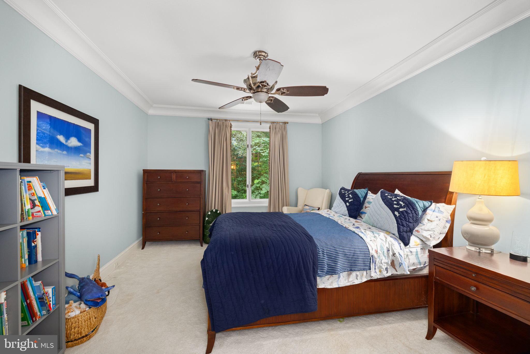 CHAIN BRIDGE - Residential