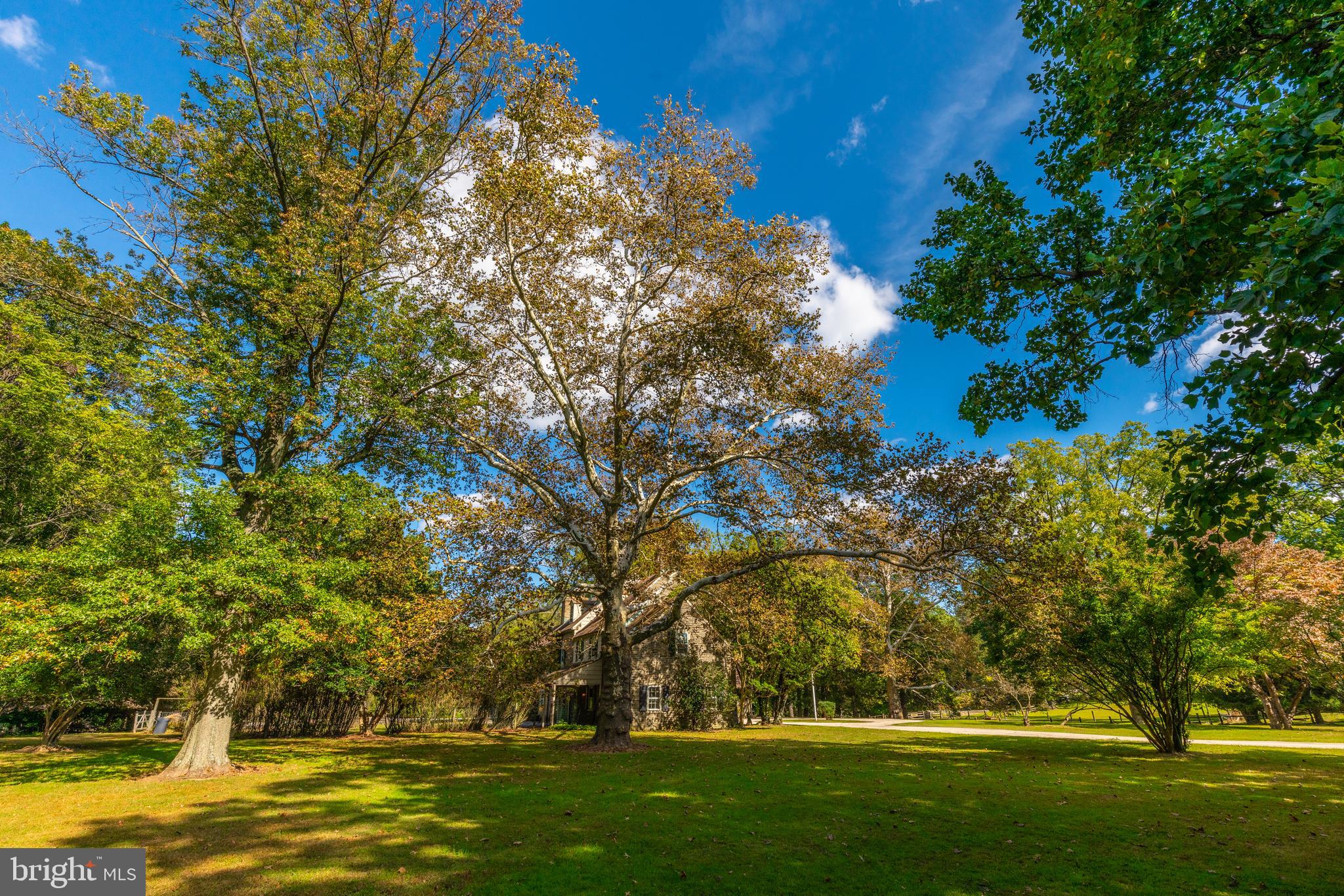ROXBOROUGH - Residential