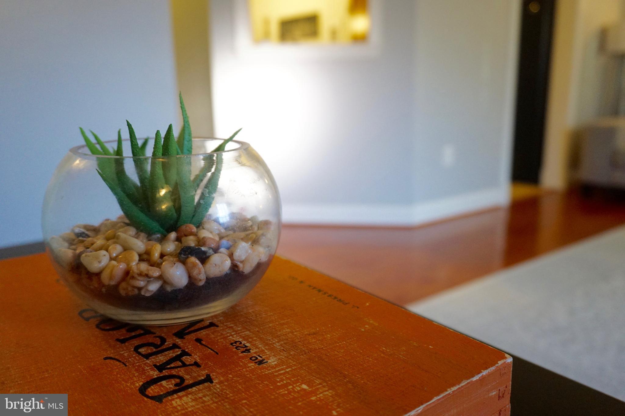 CHADDSFORD - Residential