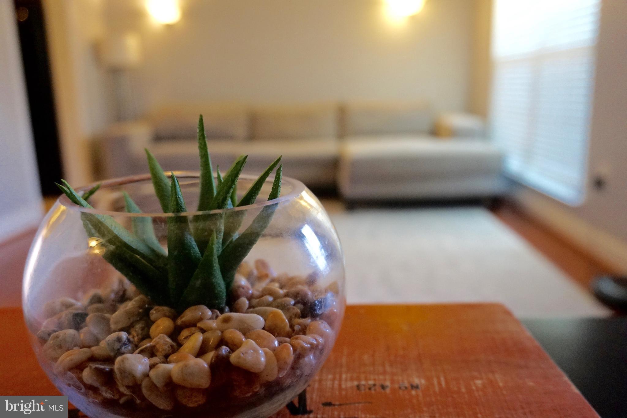 CHADDSFORD - Residential