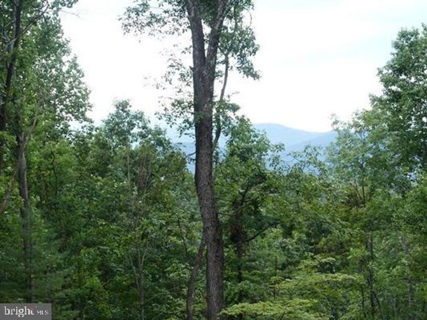 Final Lots just released!  Build on top of the world with amazing mountain views. Blandemar Farm Estates is one of the most beautiful and serene neighborhoods in the East coast.  Gently rolling roads, glistening lake, stunning mountain views & peaceful nature are all offered in this upscale community.  So if you are Looking for a place to build your private & unique mountain top estate, look no further! This is an established neighborhood and the developer has just released the last of the lots.  This beautiful pristine property features 21.40 acres with nature abound. Tax is in Land Use. Easy commute to Charlottesville (approx. 9.5 miles to UVA).