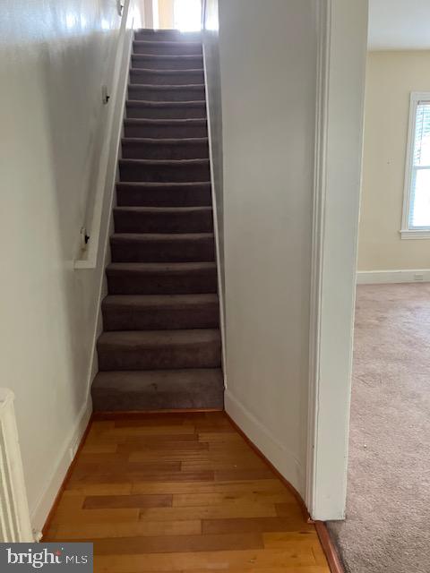 440 LOCUST AVENUE