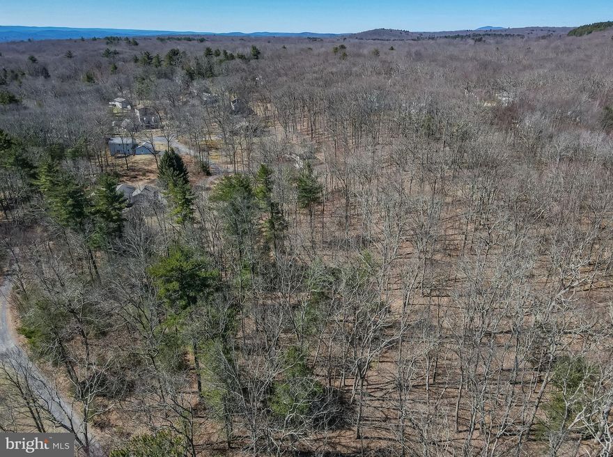 Looking for a quiet privacy in Poconos to build your dream house? 3 acre mostly level lot, surrounded by trees and privacy, and other large lots. With barely a neighbor in sight, enjoy the quiet serenity of nature surrounding your home. Private country road, with no through traffic. Previous old perc test completed. Use any builder. Get started today to be building before year-end.