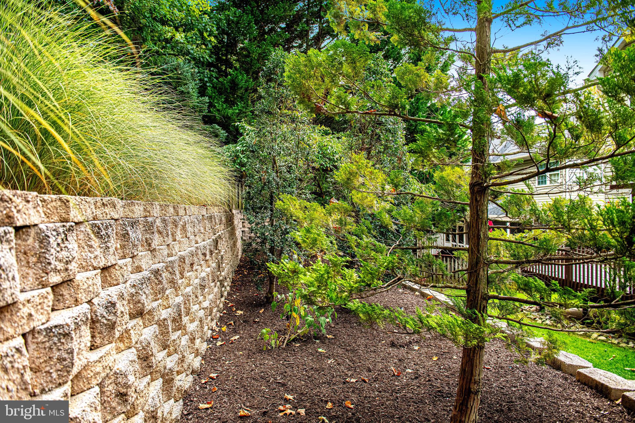 VINEYARD OAK - Residential