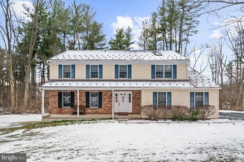 11 ALPINE DRIVE MOHNTON PA 19540