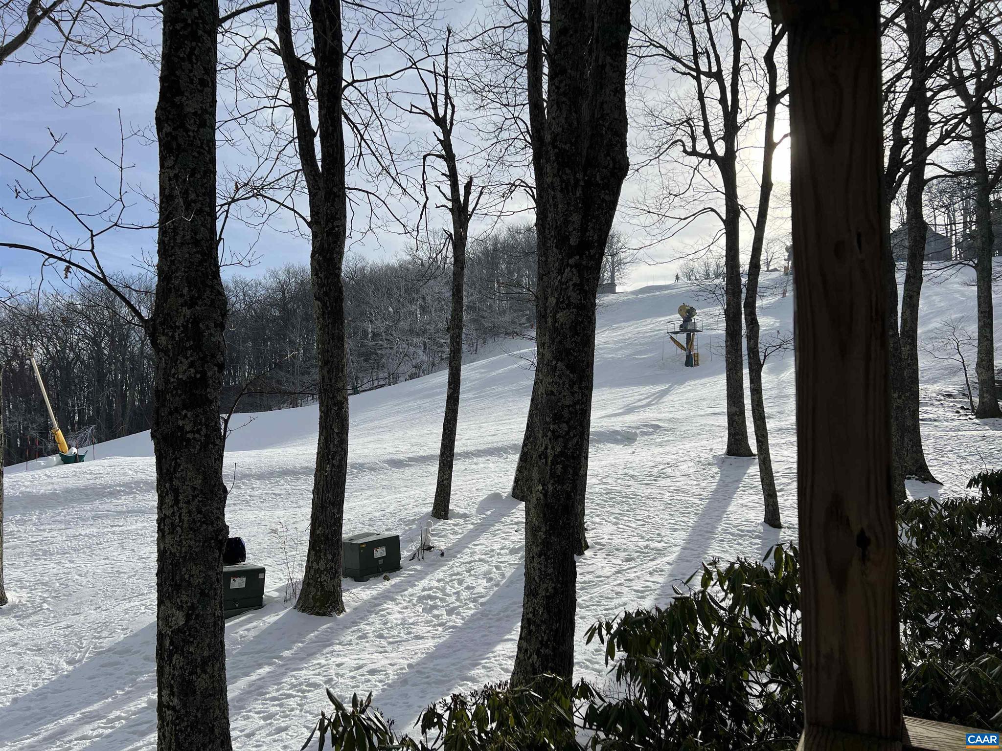 WINTERGREEN RESORT - Residential