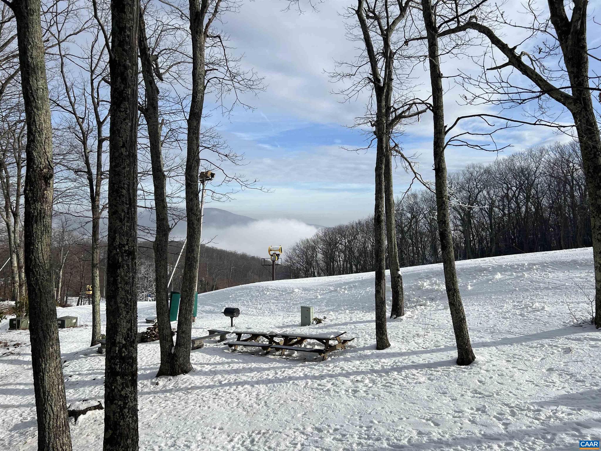WINTERGREEN RESORT - Residential