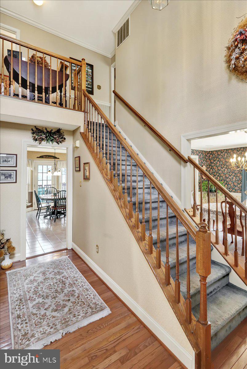 WILLIAMSBURG - Residential