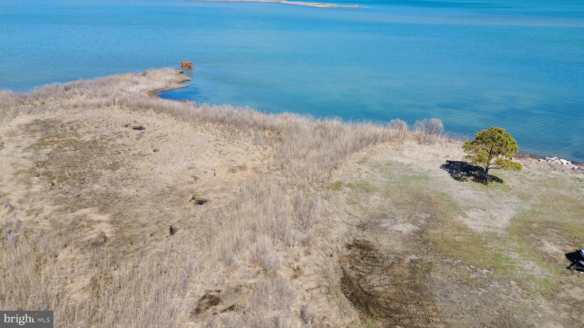 Waterfront Honga River - STEAMBOAT WHARF RD WATERFOWL